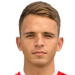 波內(nèi)德利尼克