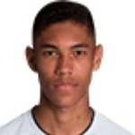 維尼修斯·巴萊羅