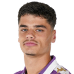 大衛(wèi)·托雷斯