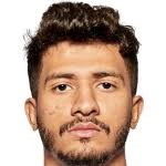 巴德?tīng)柮上? style=