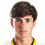 羅德里戈·桑托斯·里貝羅