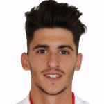 卡洛斯內(nèi)瓦