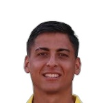 伊利亞內(nèi)斯